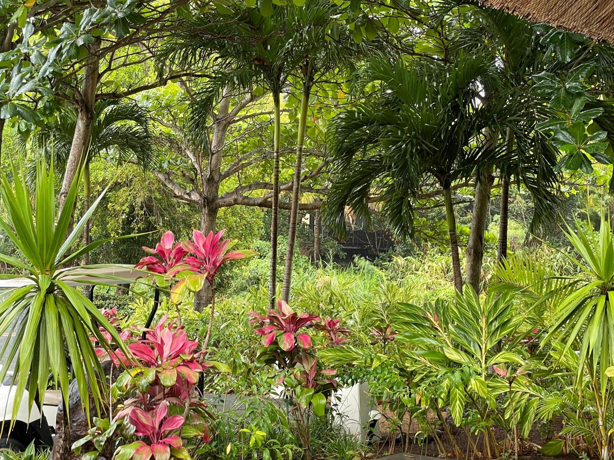Villa Serenite ベル・オンブル エクステリア 写真