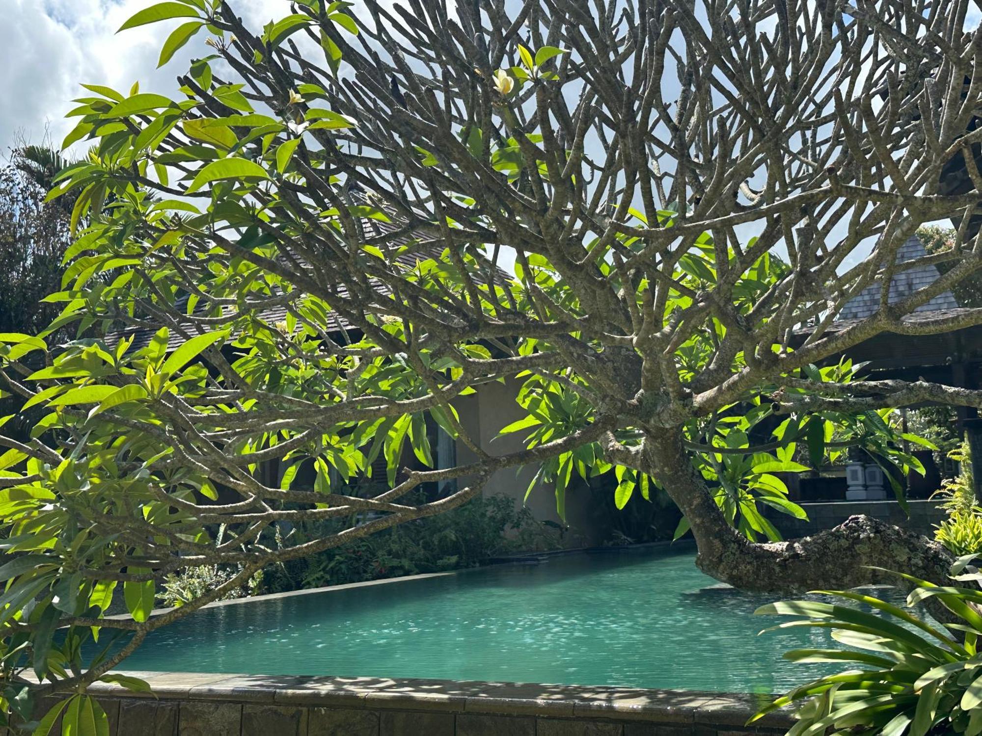 Villa Serenite ベル・オンブル エクステリア 写真